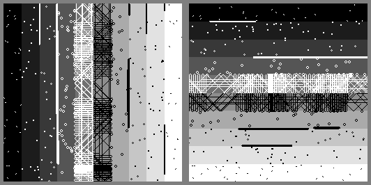 FlowAutomaton result on 2 test 10 steps gradient images